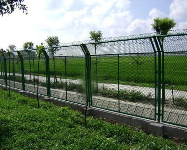 Ral 6005 màu xanh lá cây đắm LDPE bột polyethylene cho hàng rào liên kết chuỗi